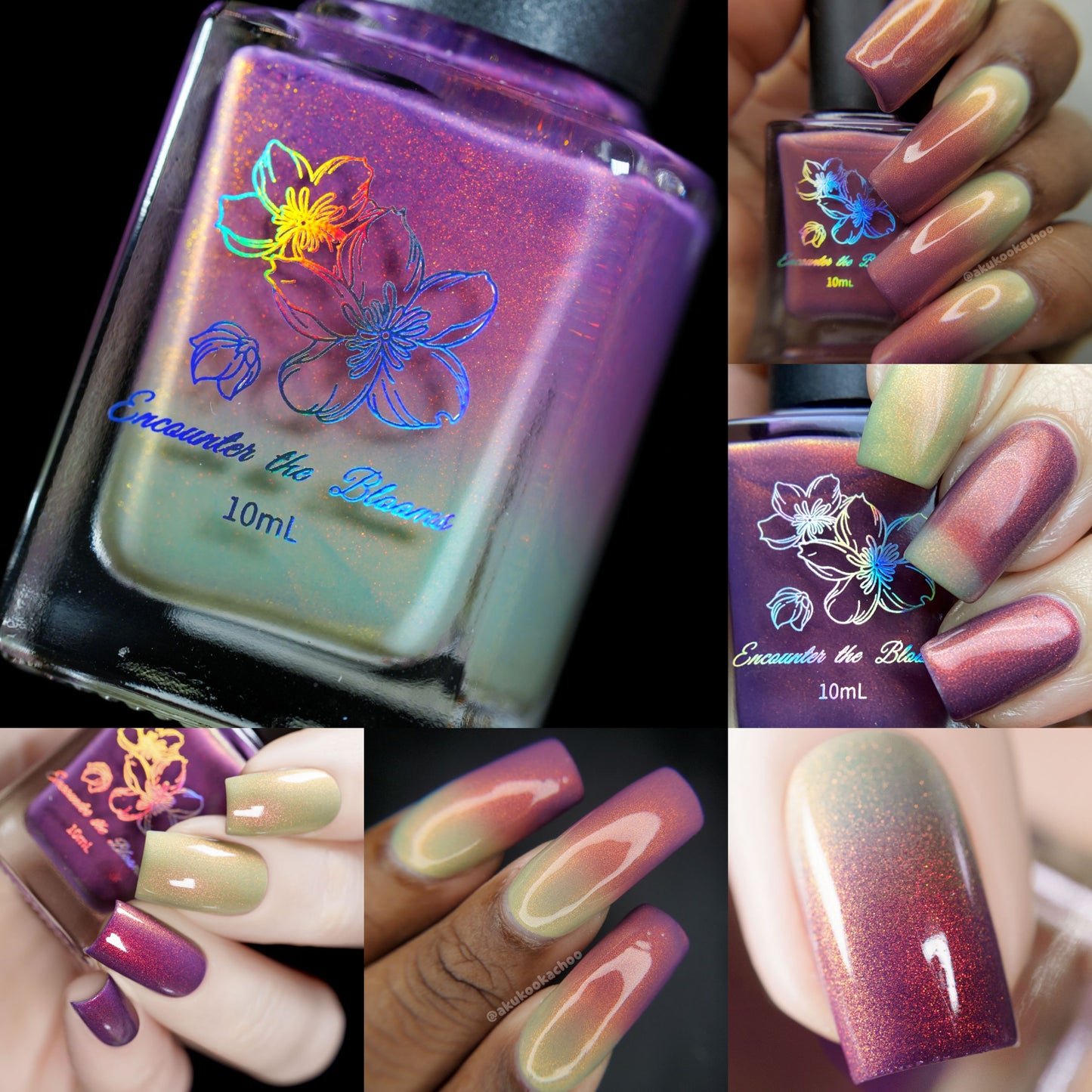Sunset Hues