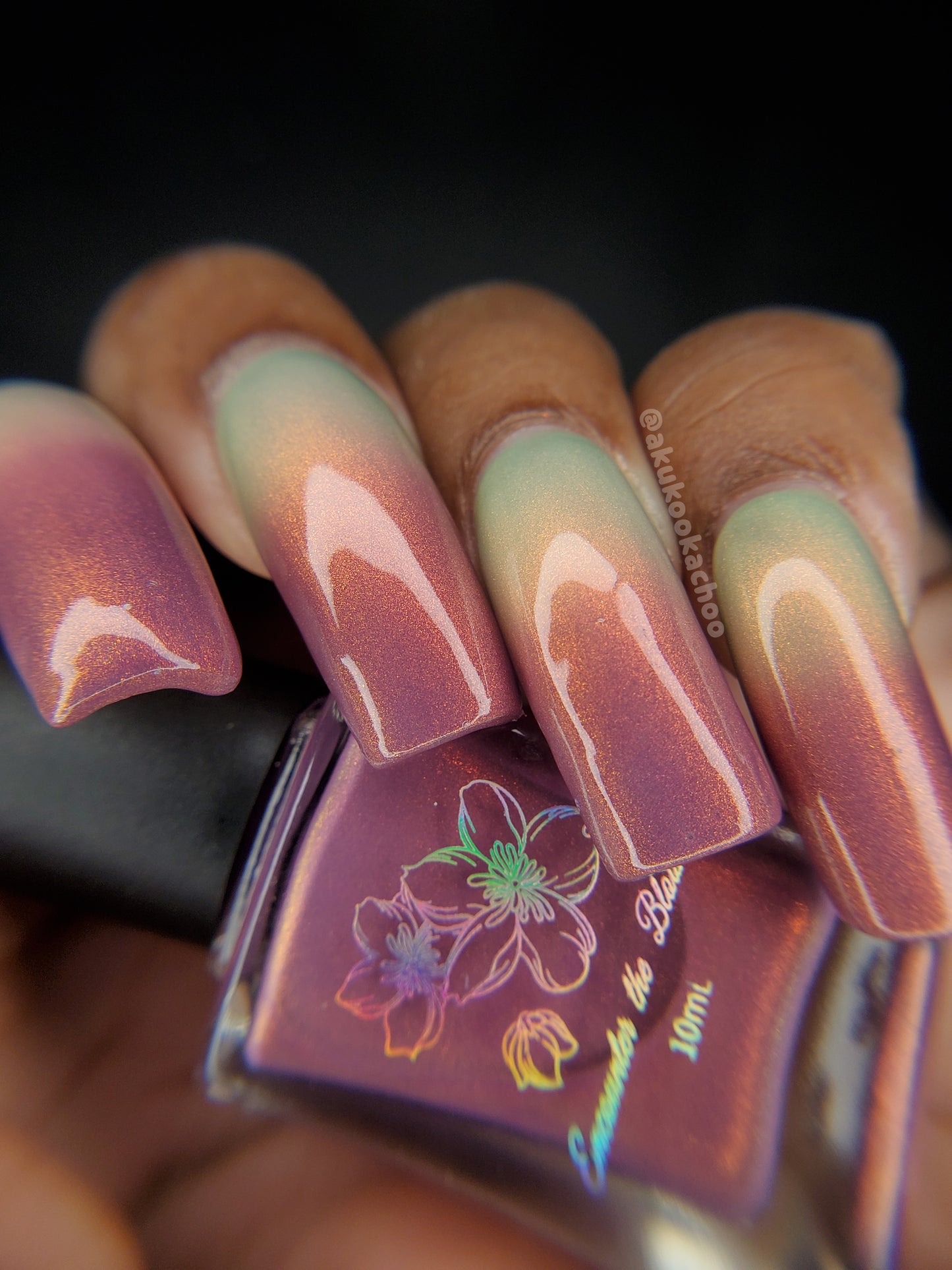 Sunset Hues