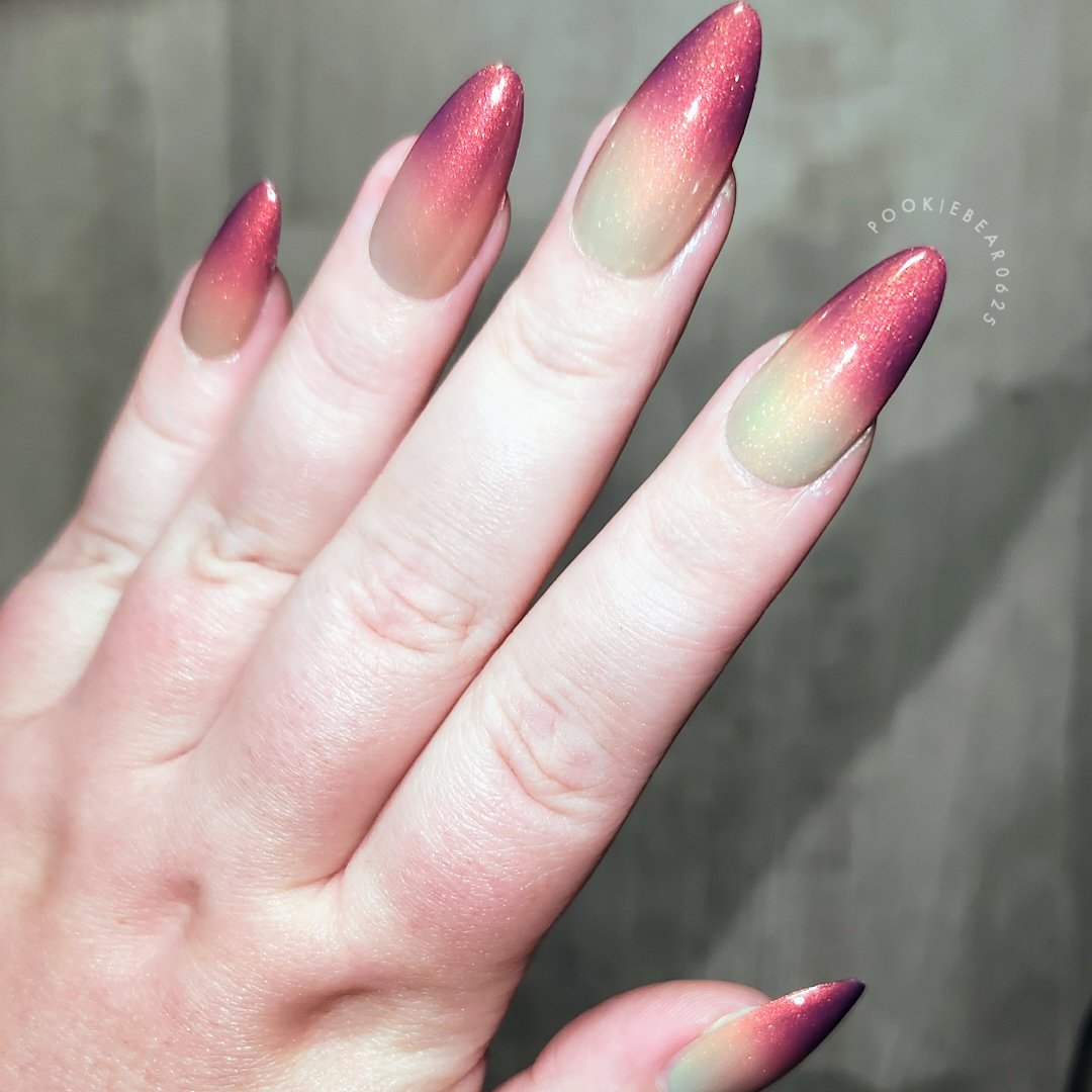 Sunset Hues