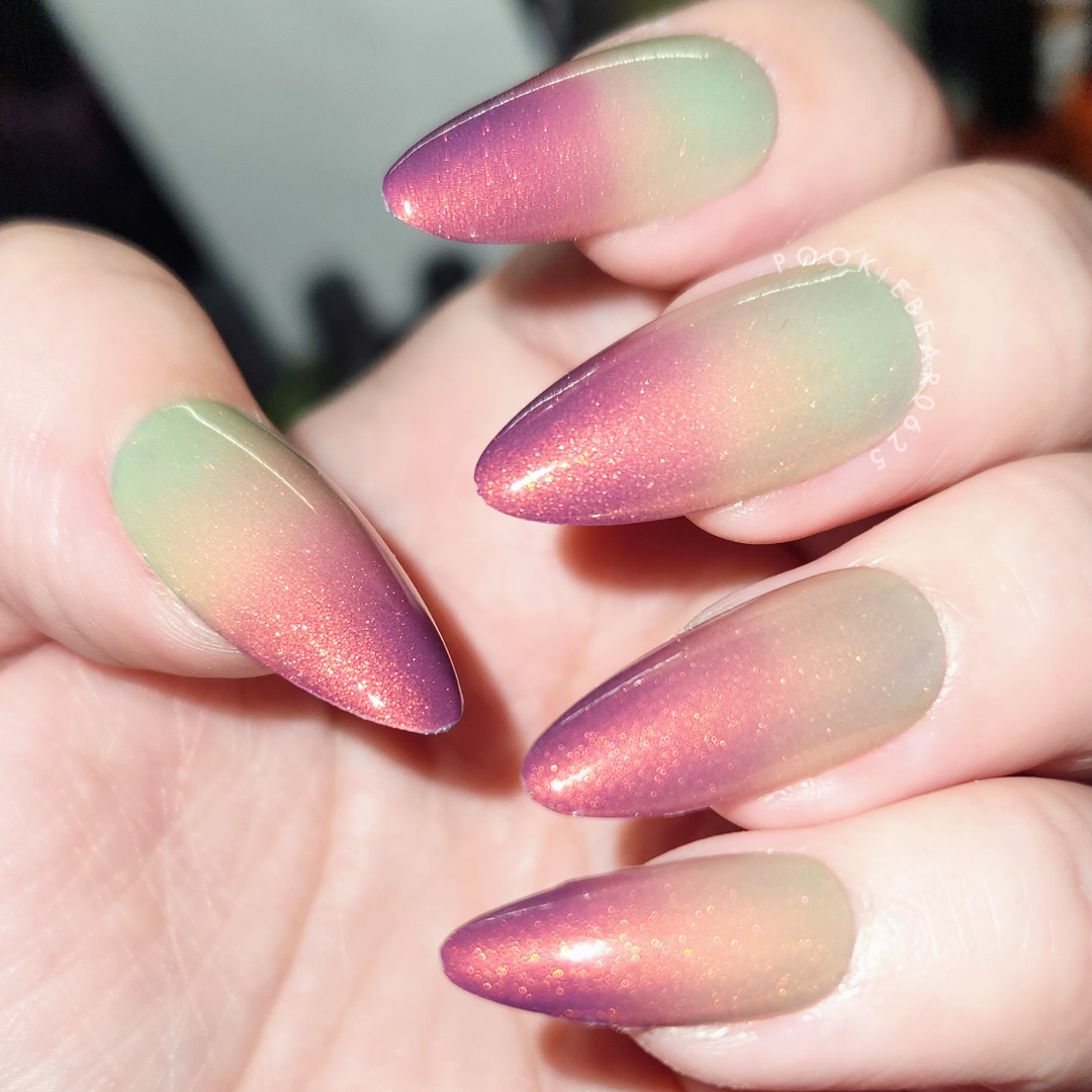 Sunset Hues