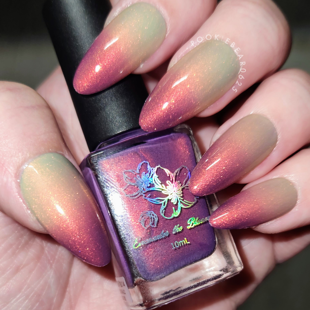 Sunset Hues