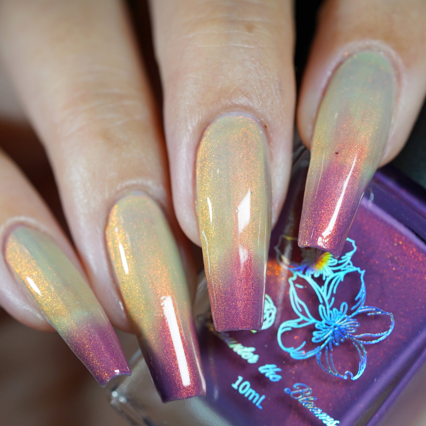 Sunset Hues