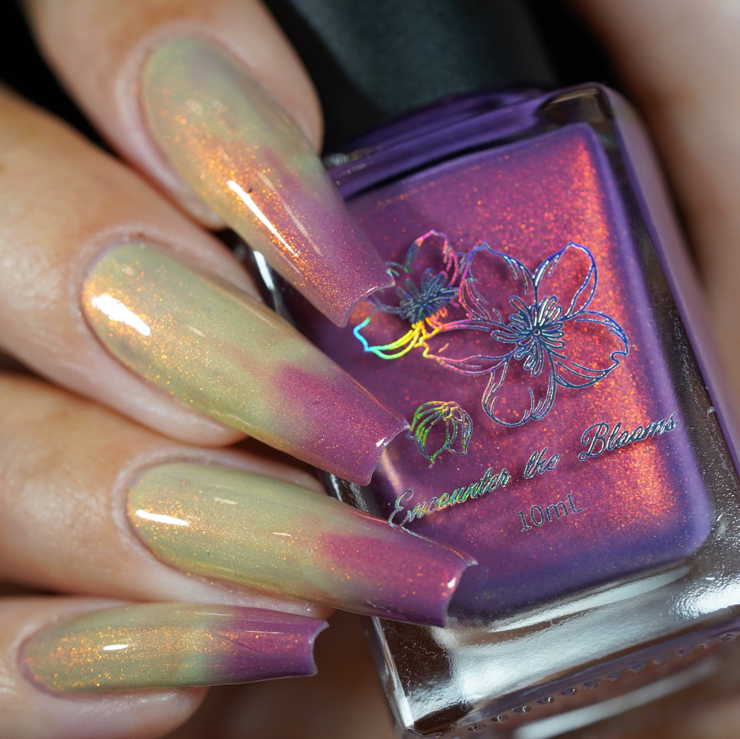 Sunset Hues