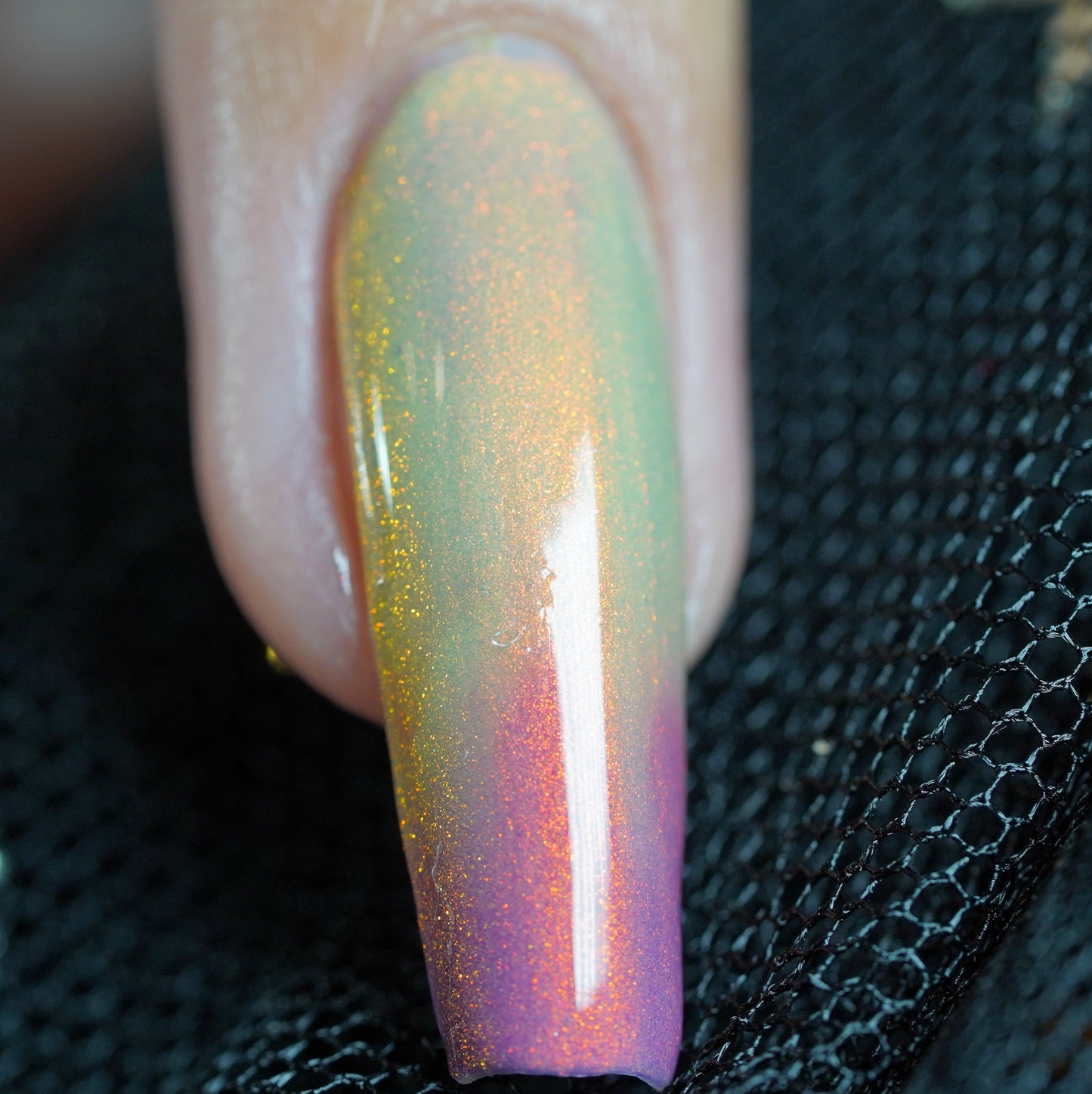 Sunset Hues