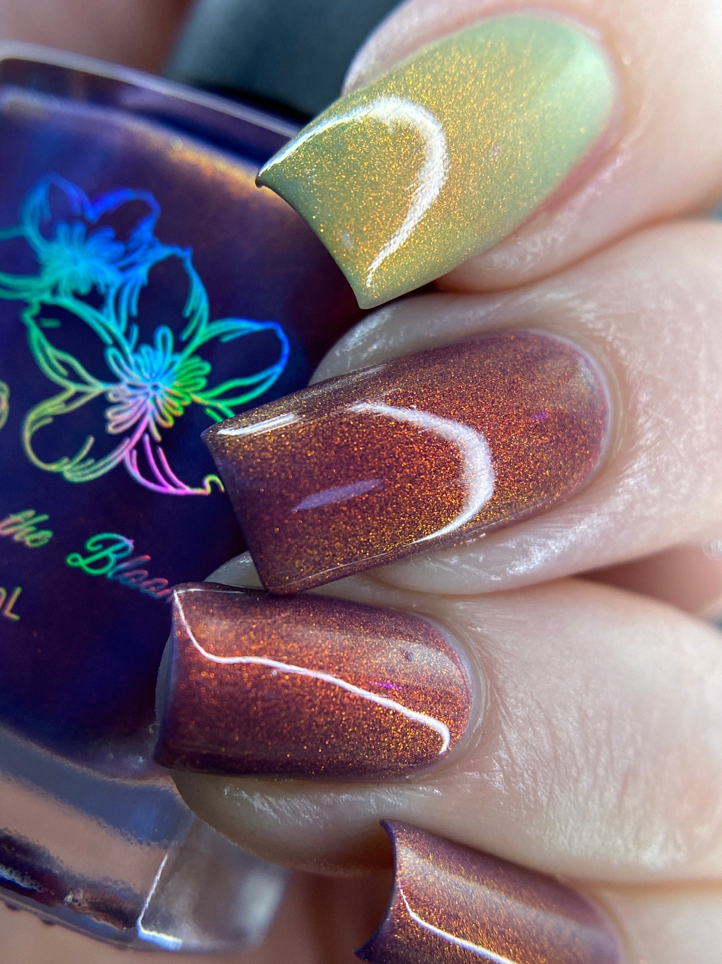 Sunset Hues