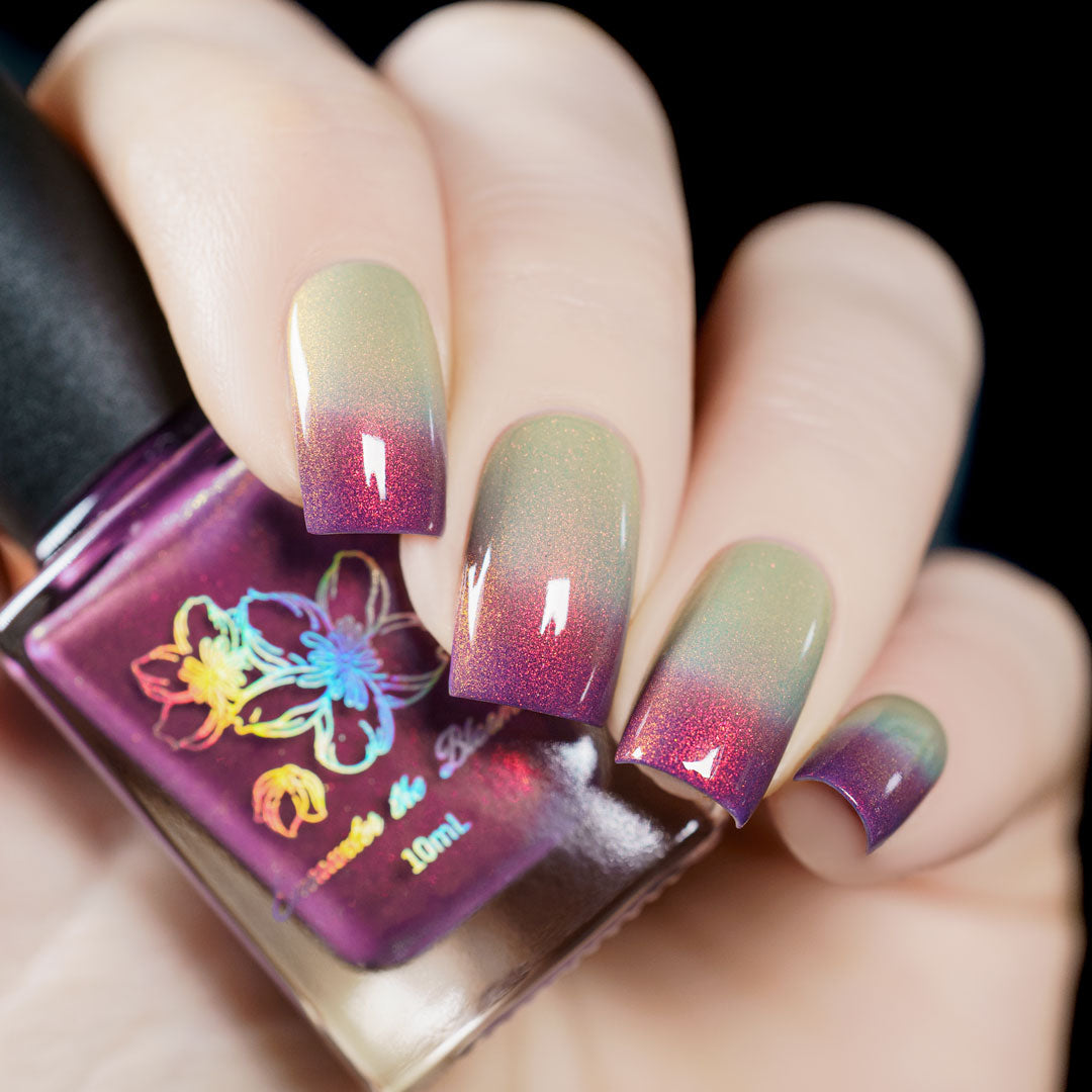 Sunset Hues