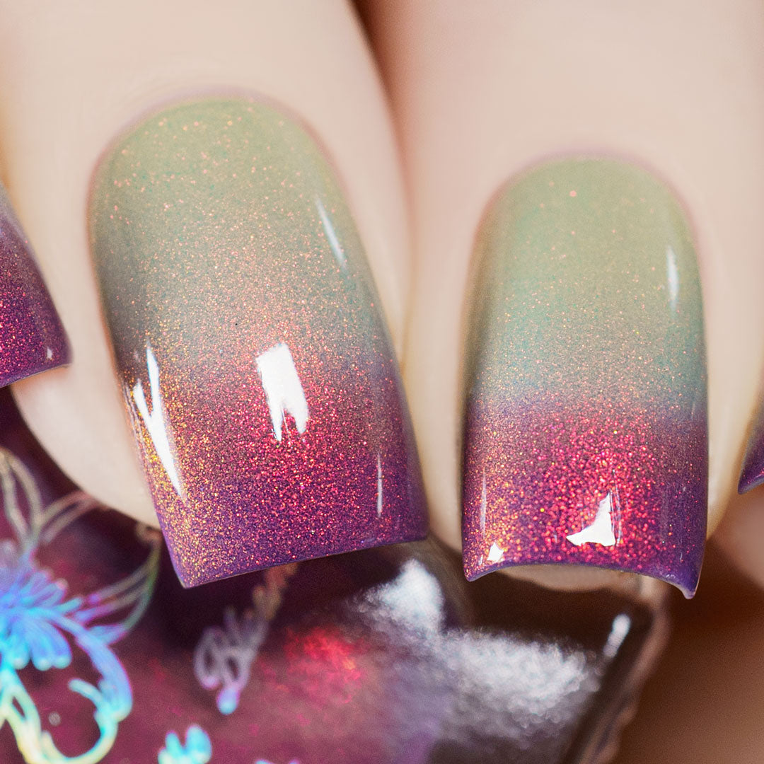 Sunset Hues