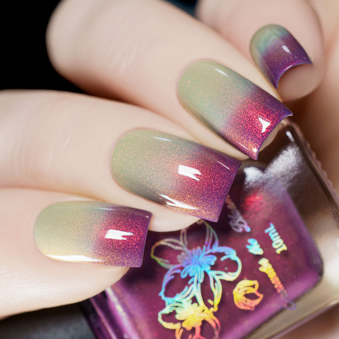 Sunset Hues