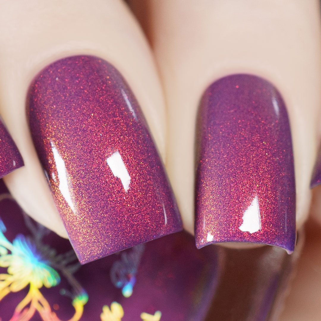 Sunset Hues
