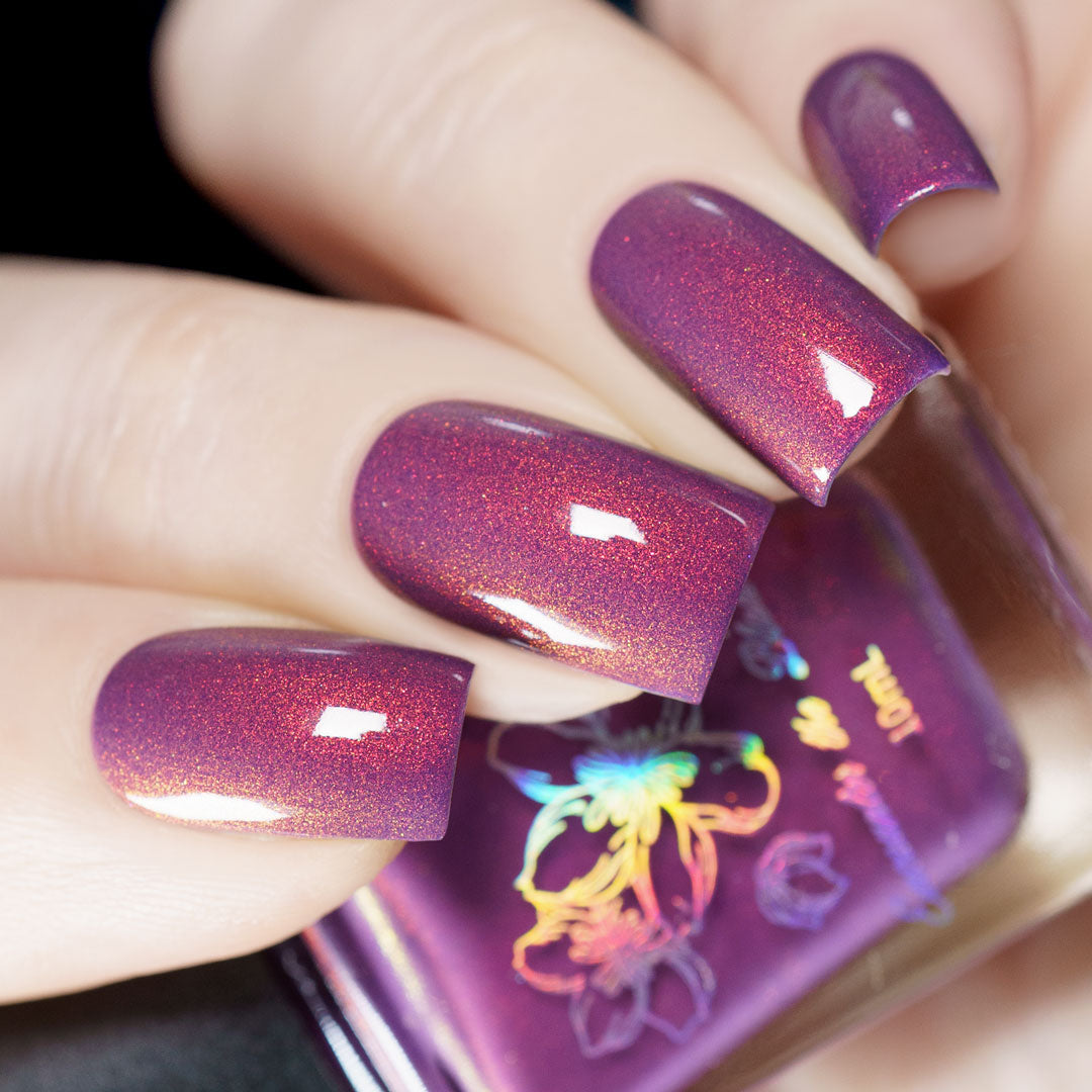 Sunset Hues