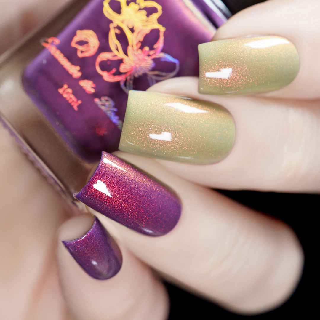 Sunset Hues