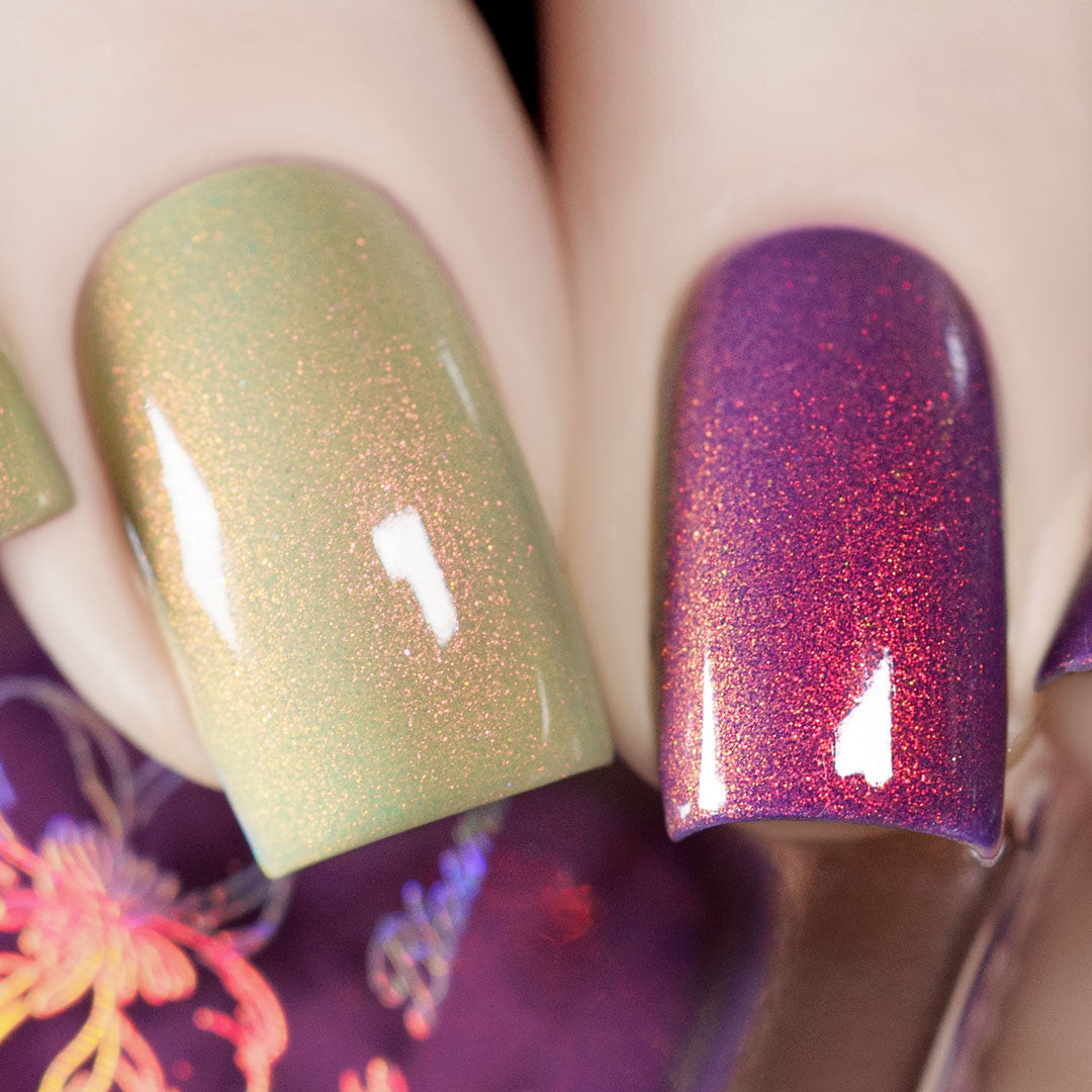Sunset Hues