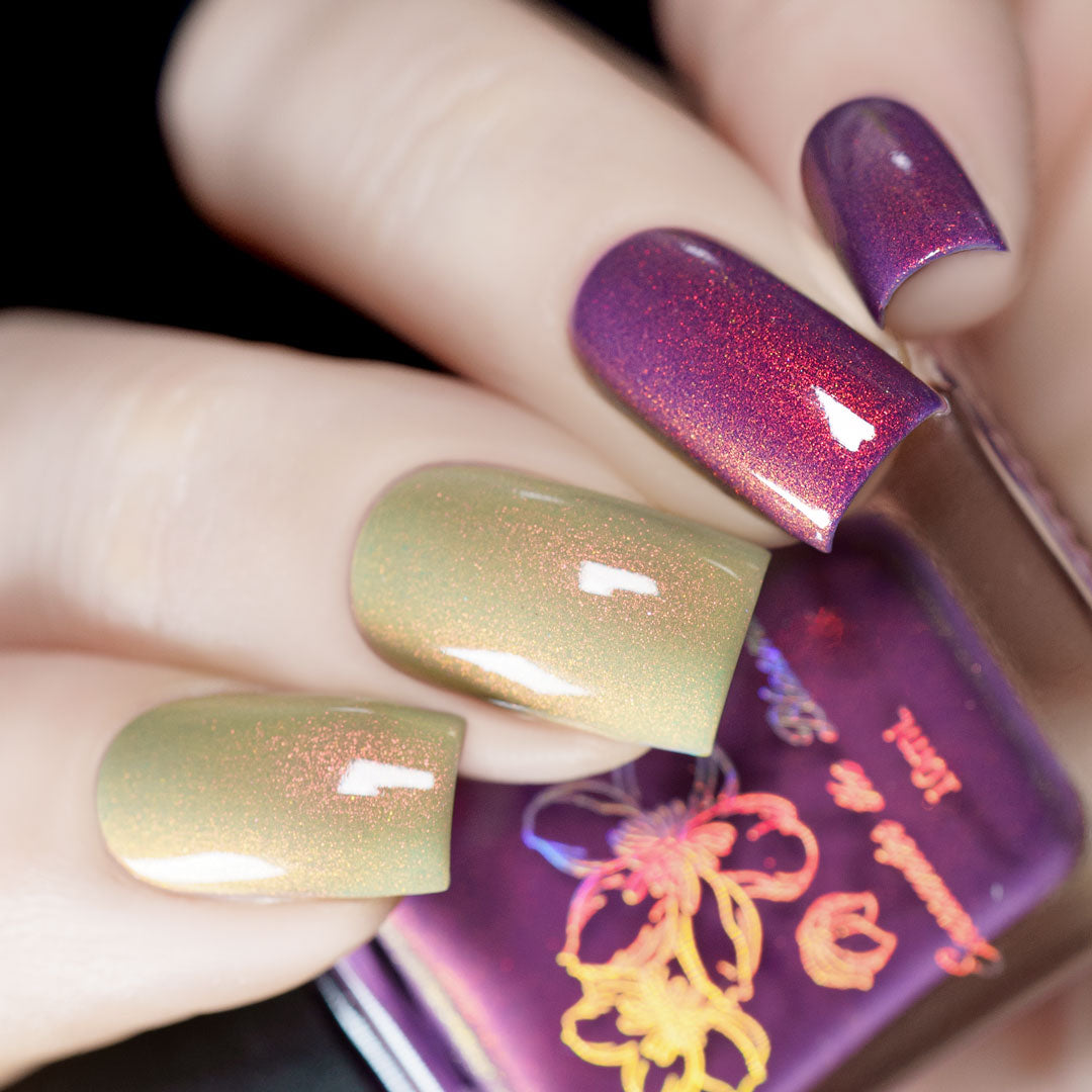 Sunset Hues