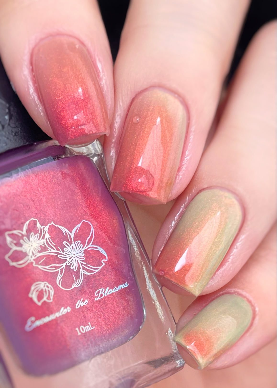 Sunset Hues