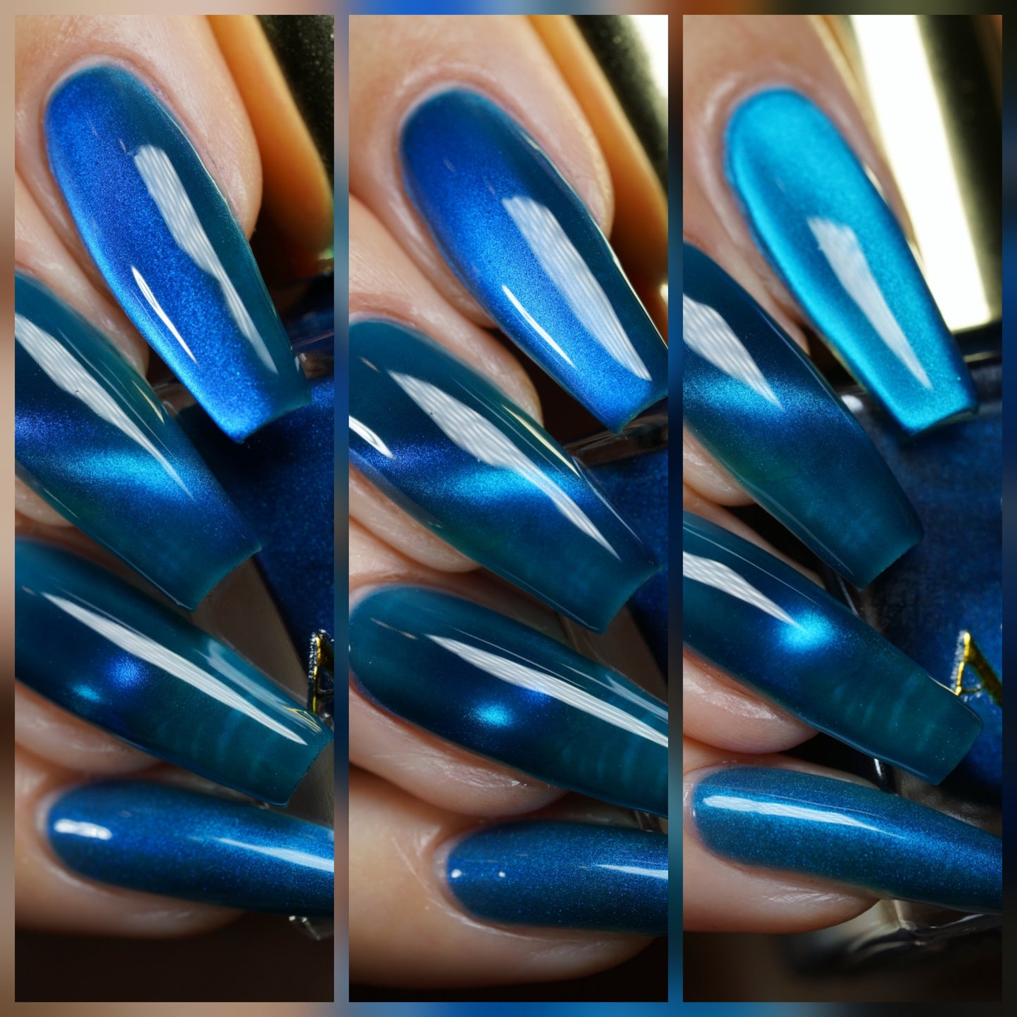 Sapphire Morpho