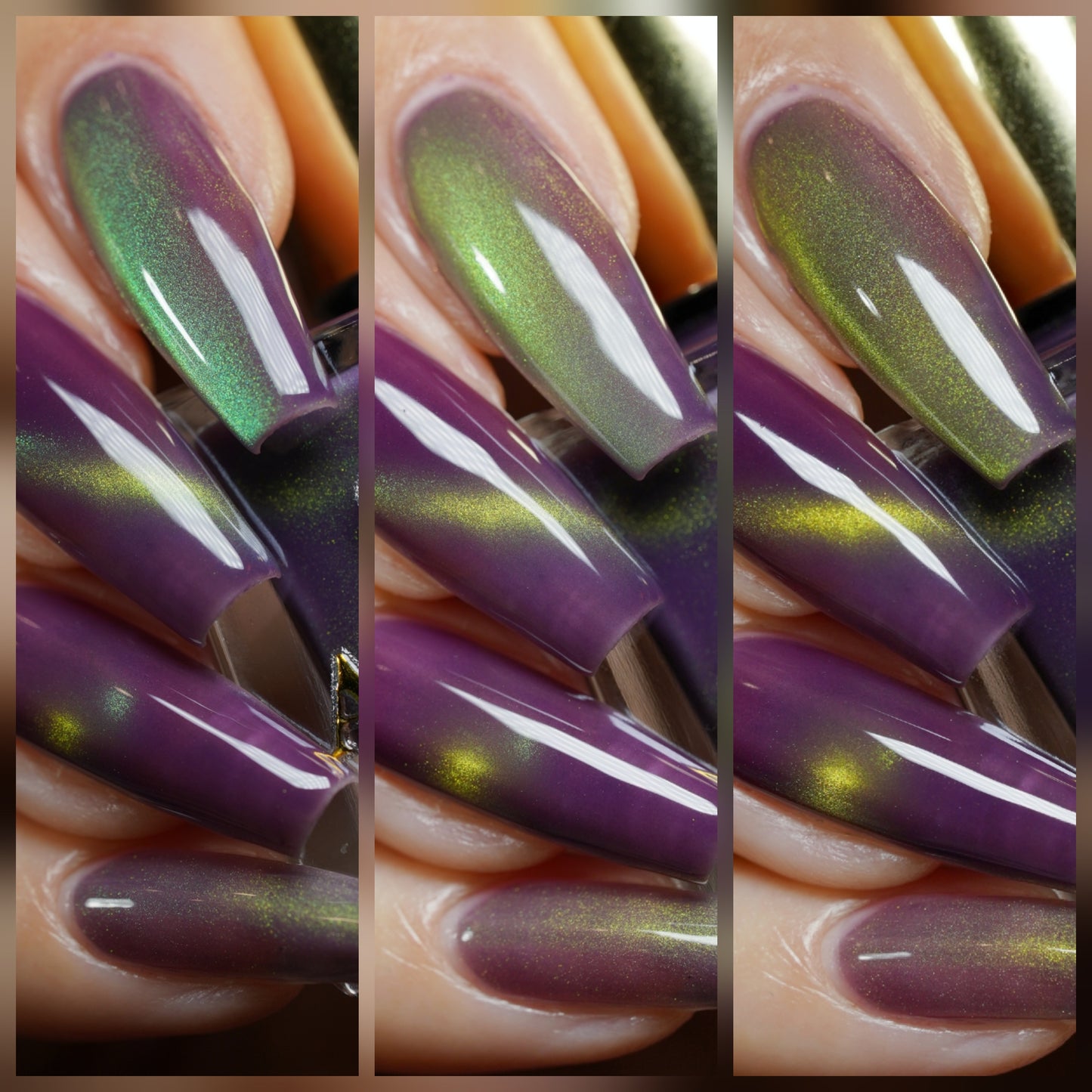 Balinese Swallowtail