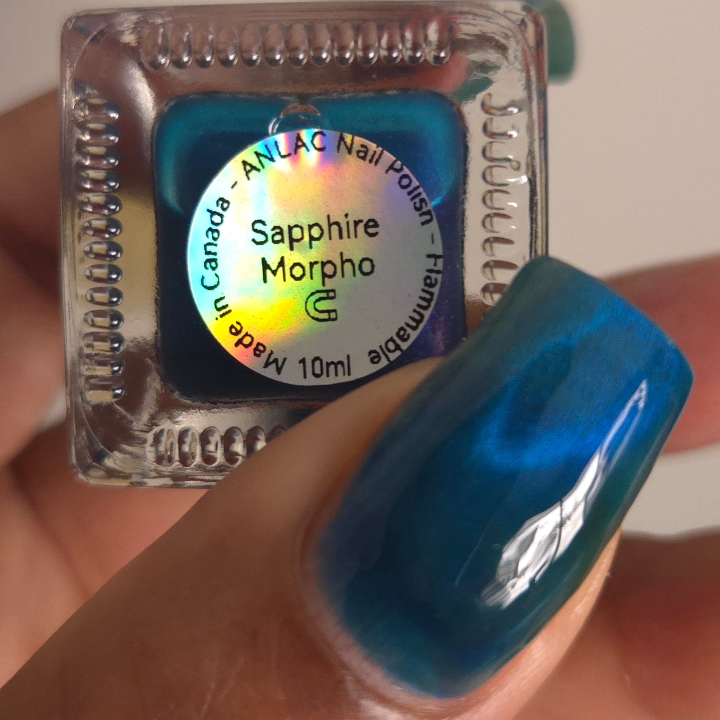 Sapphire Morpho