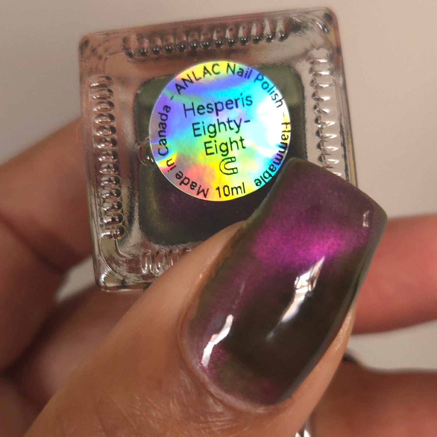 Hesperis Eighty-Eight