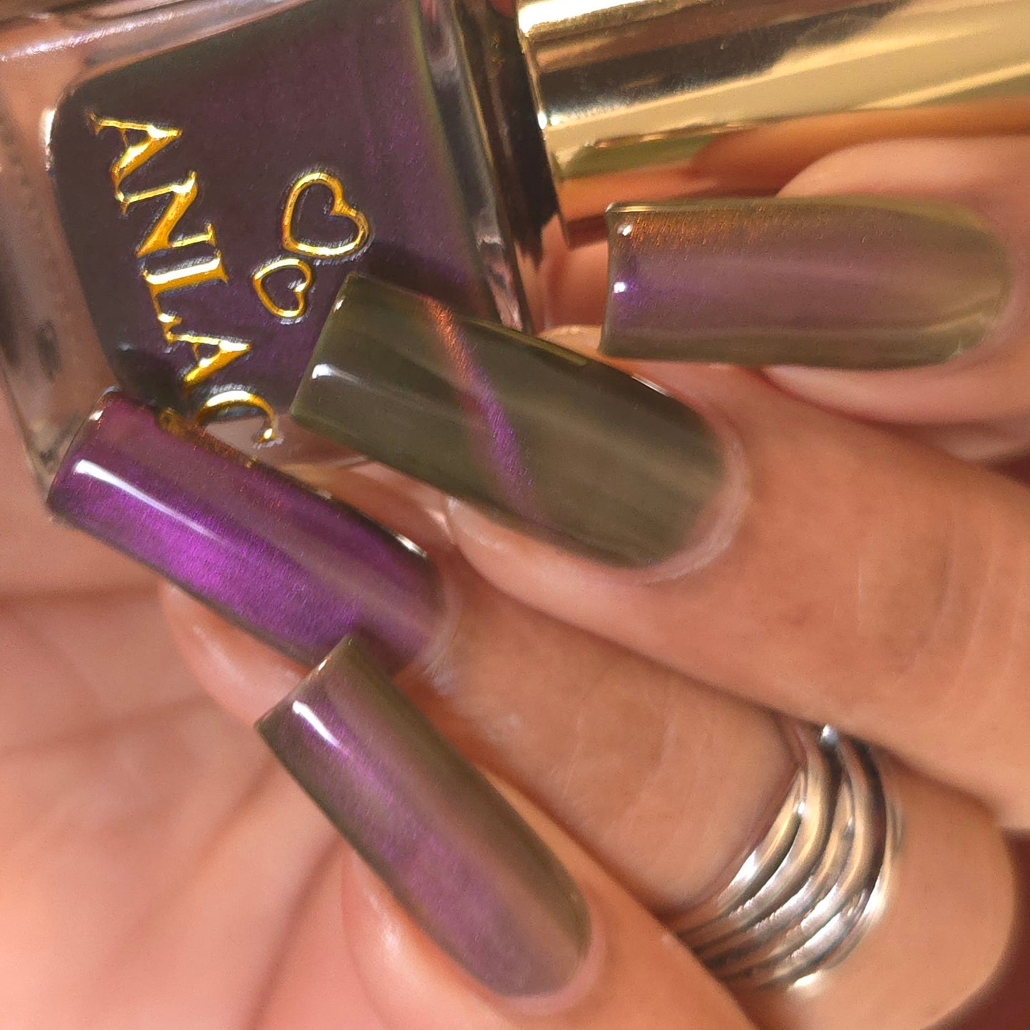 Hesperis Eighty-Eight