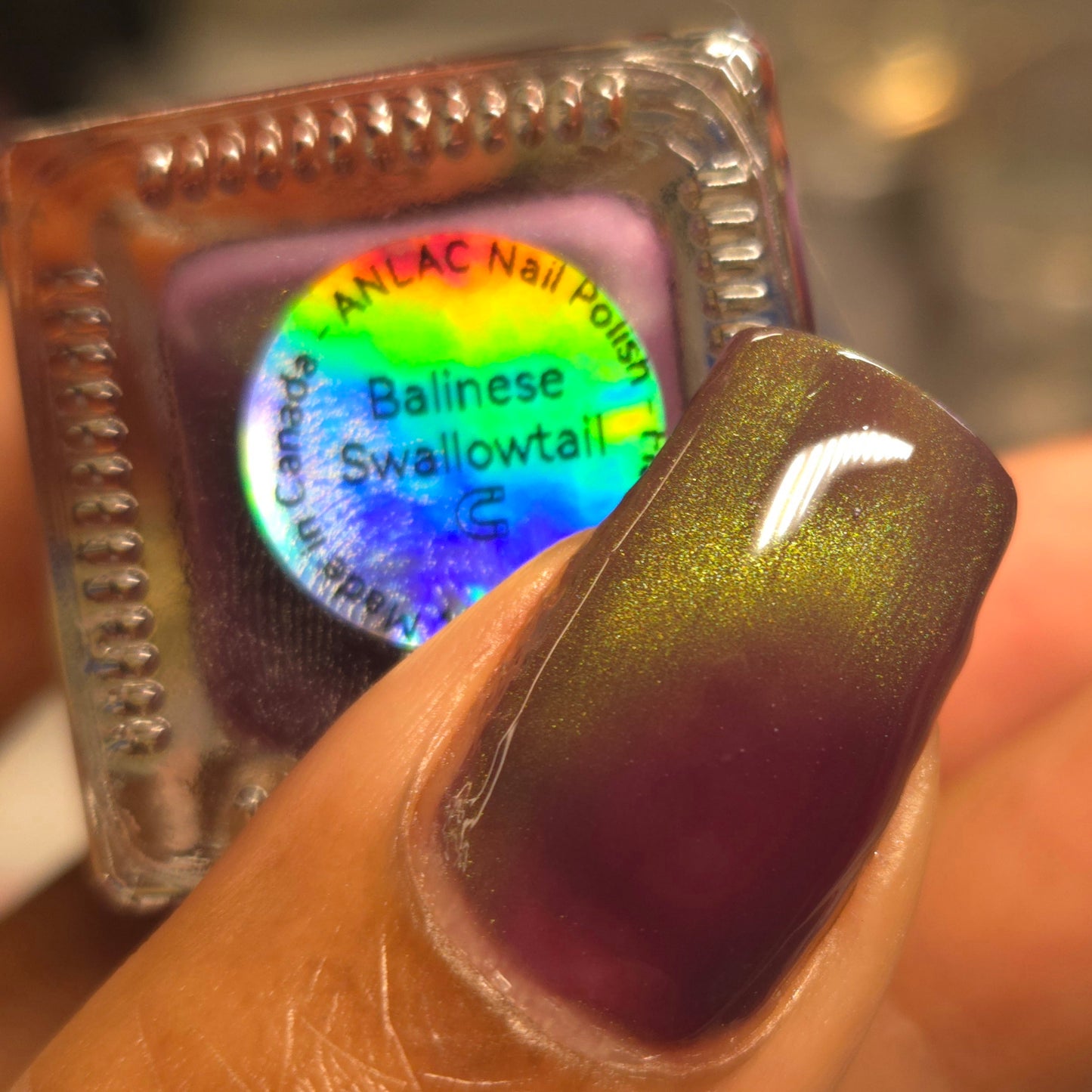 Balinese Swallowtail