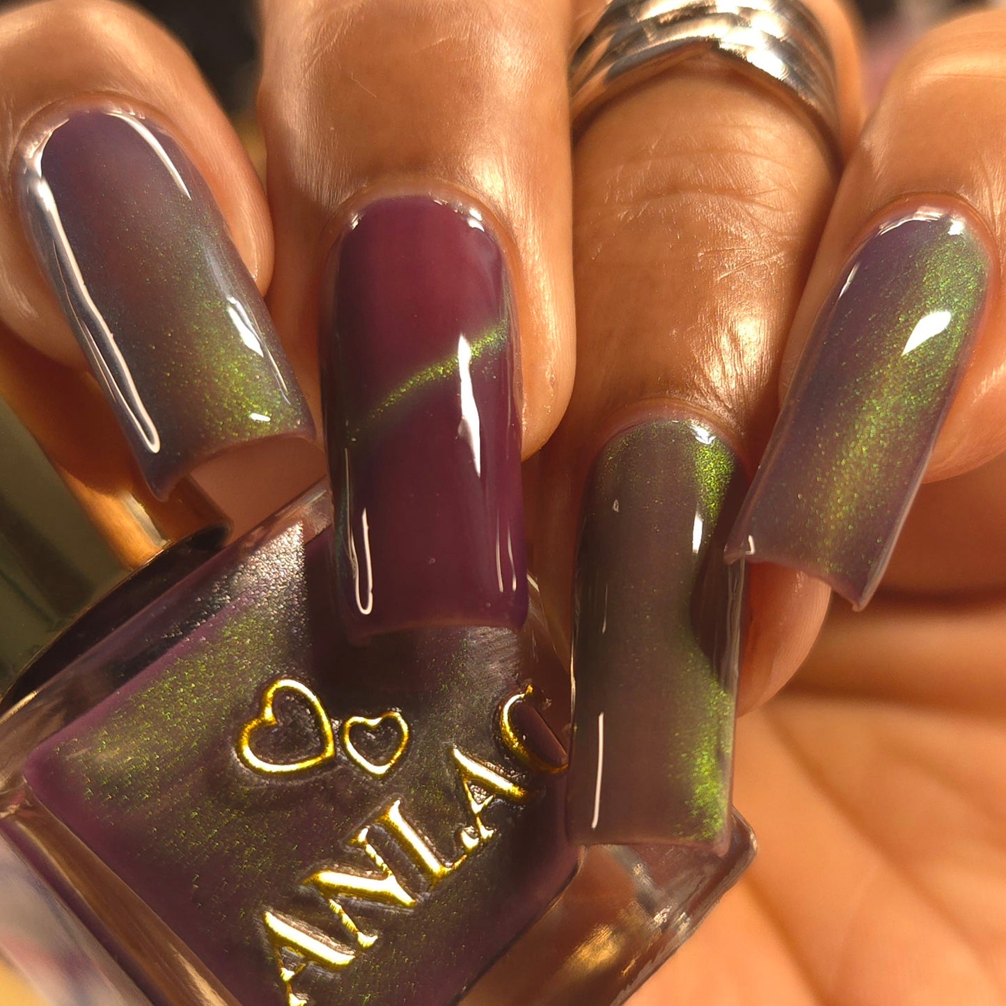 Balinese Swallowtail