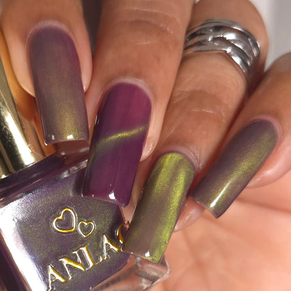 Balinese Swallowtail