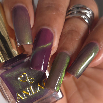 Balinese Swallowtail