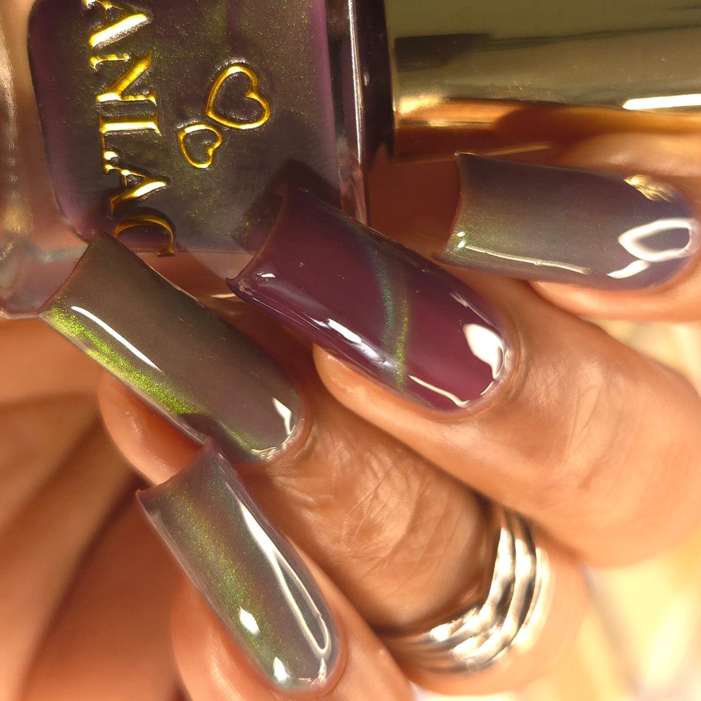 Balinese Swallowtail