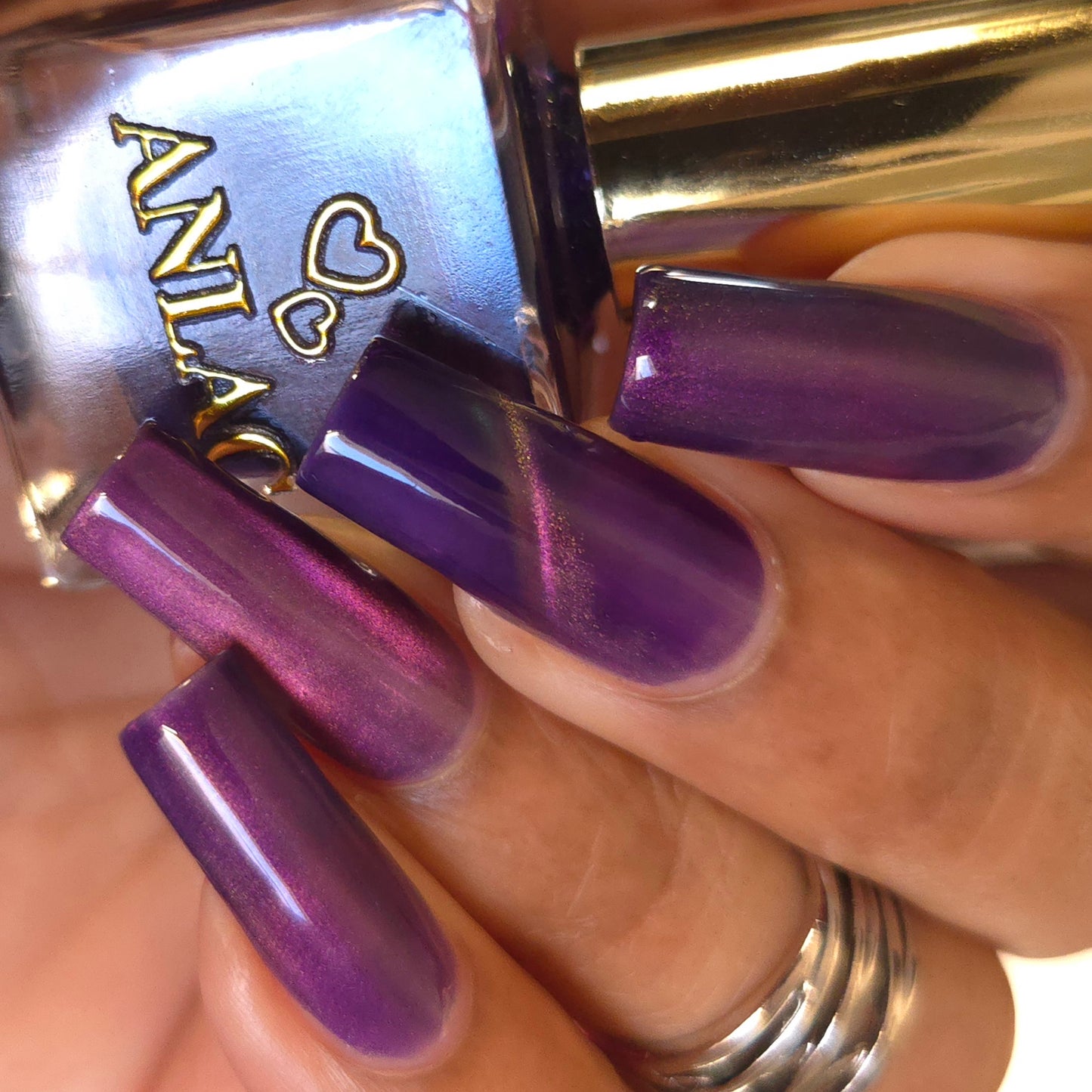 Great Purple Emperor