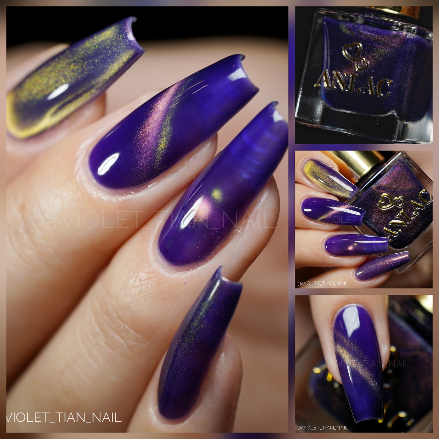 Great Purple Emperor