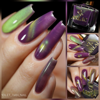 Balinese Swallowtail