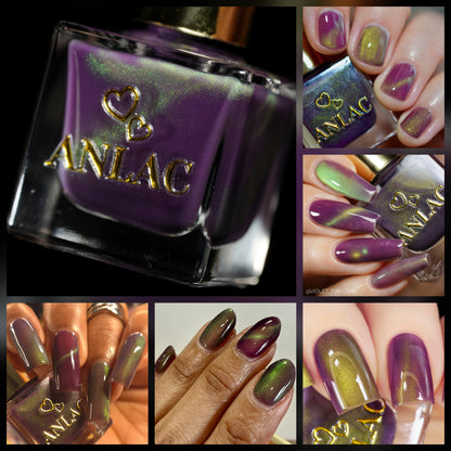 ANLAC Butterfly Bundle