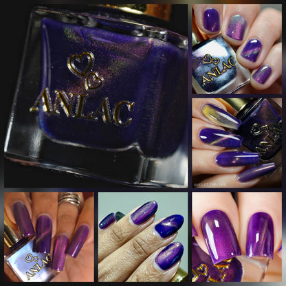 ANLAC Butterfly Bundle