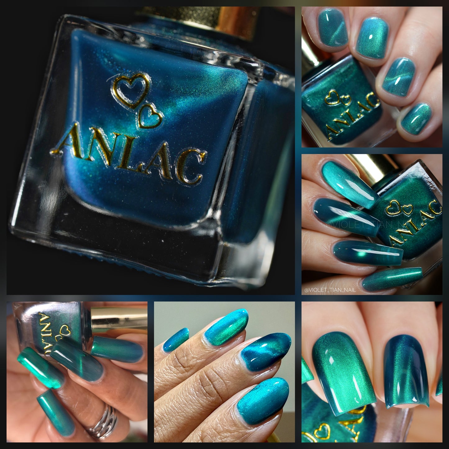 ANLAC Butterfly Bundle