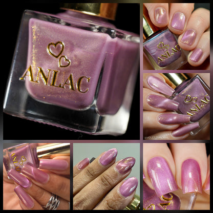 ANLAC Butterfly Bundle