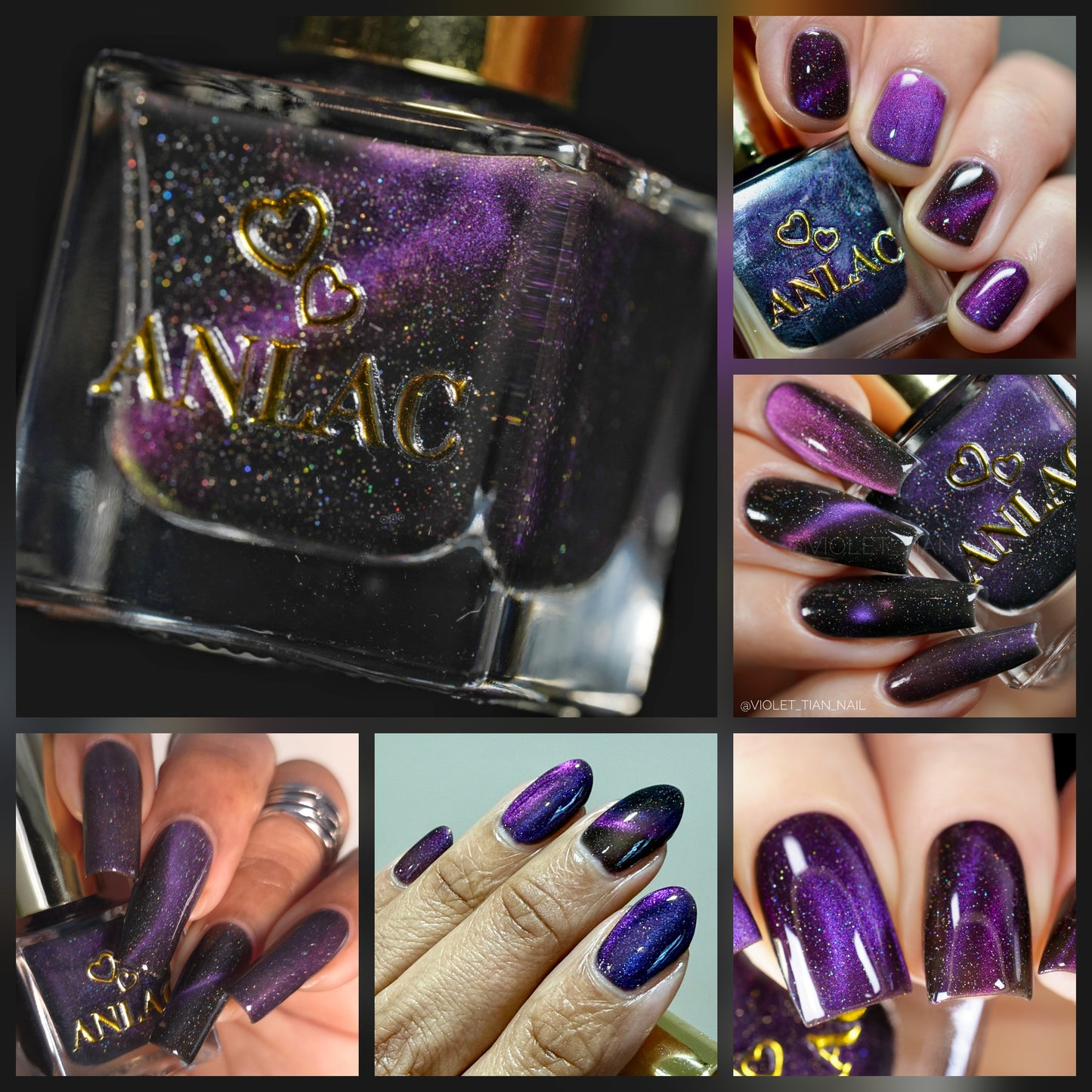 ANLAC Butterfly Bundle