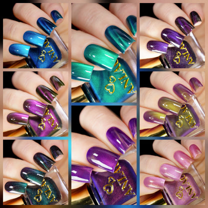 ANLAC Butterfly Bundle