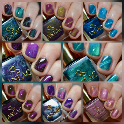 ANLAC Butterfly Bundle