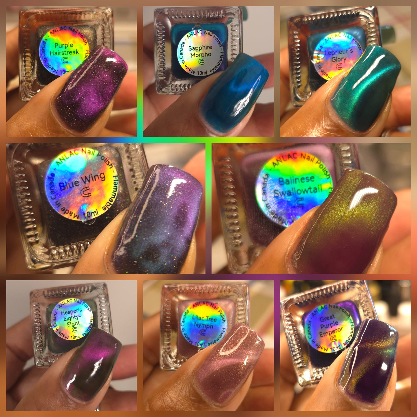 ANLAC Butterfly Bundle