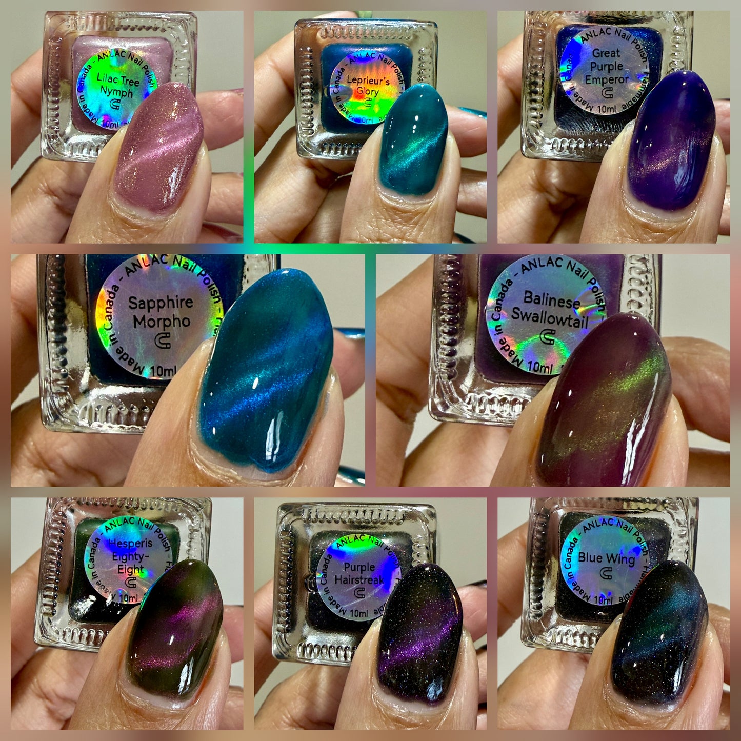 ANLAC Butterfly Bundle