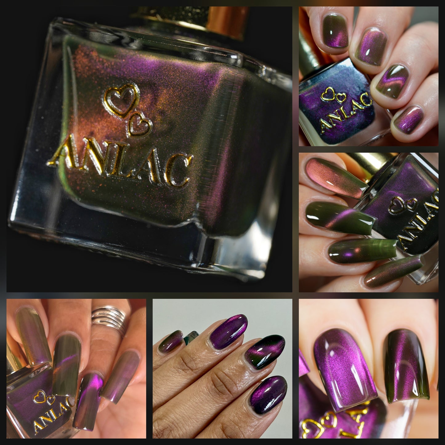 ANLAC Butterfly Bundle