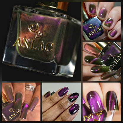 ANLAC Butterfly Bundle