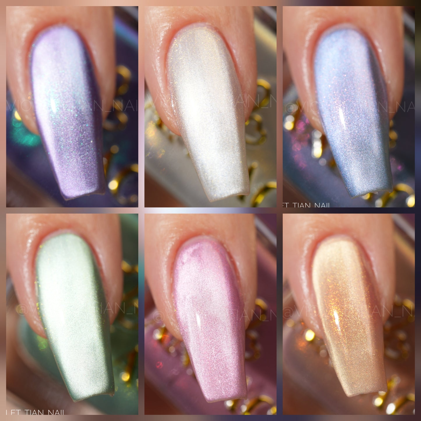 See Sheer Bundle(Pre-order)