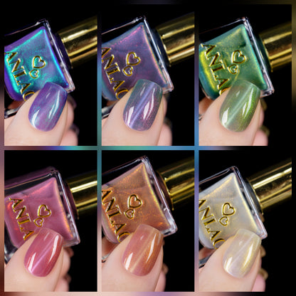 See Sheer Bundle(Pre-order)