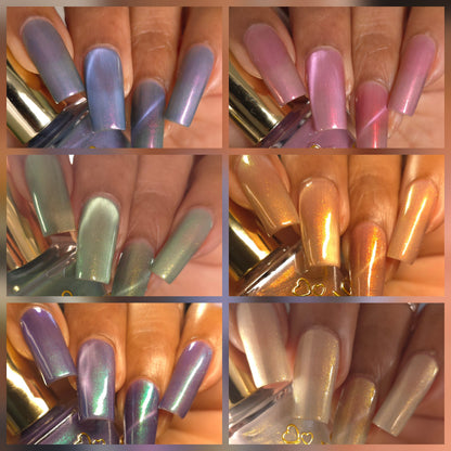 See Sheer Bundle(Pre-order)