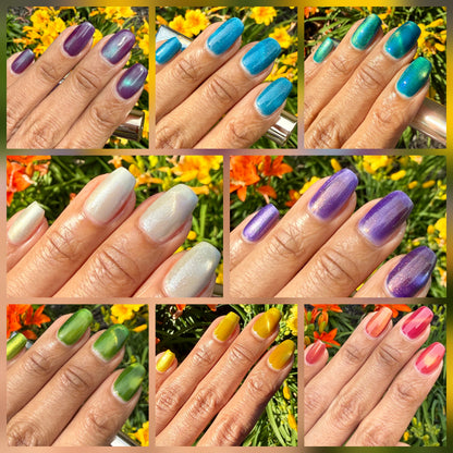 Endless Summer Bundle