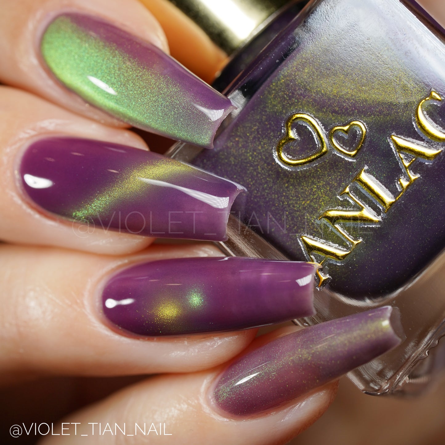 Balinese Swallowtail