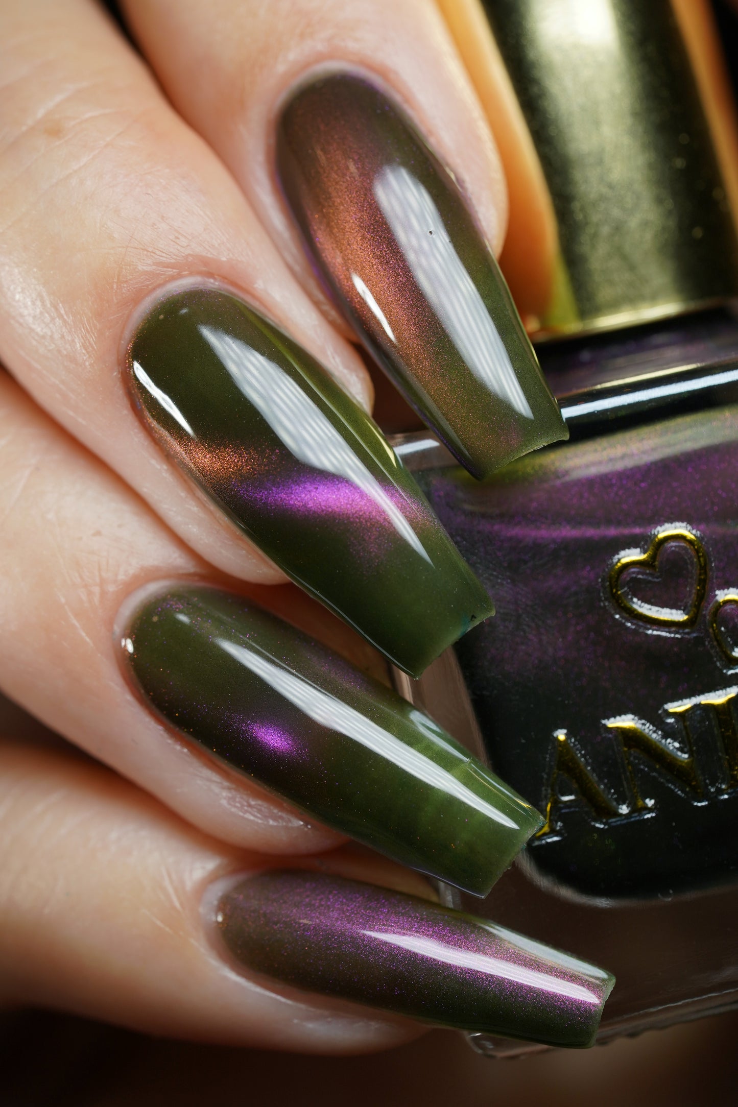 Hesperis Eighty-Eight