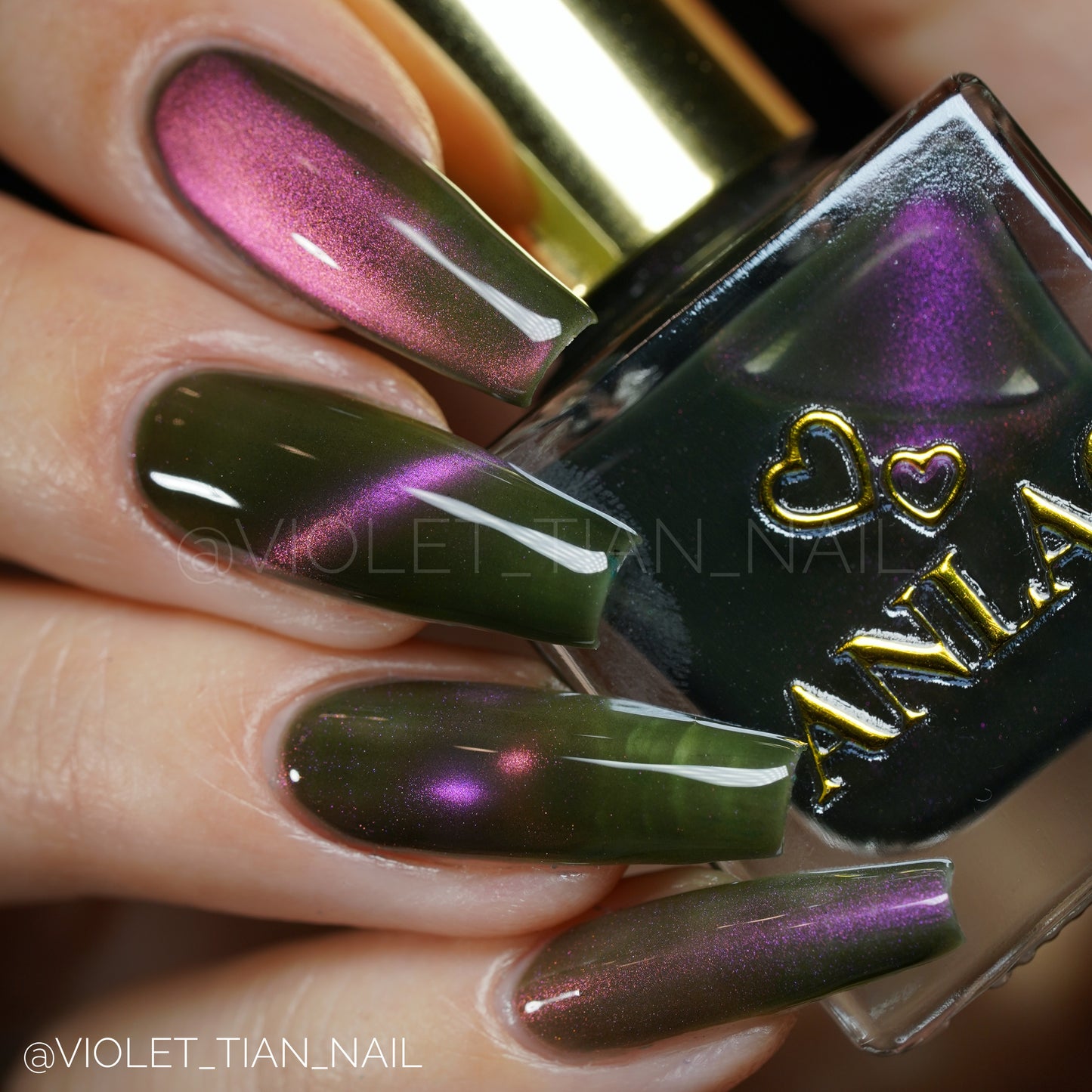 Hesperis Eighty-Eight