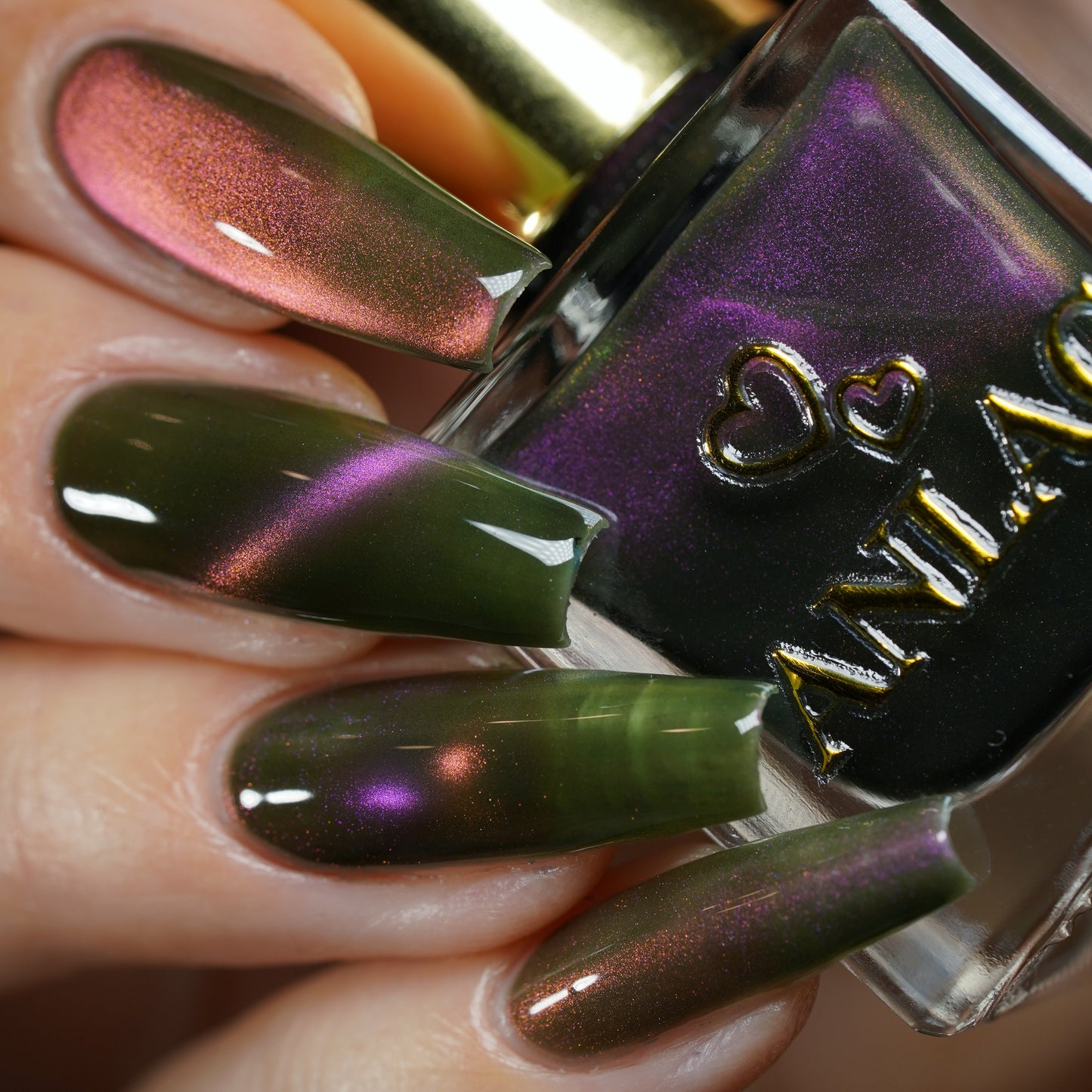 Hesperis Eighty-Eight